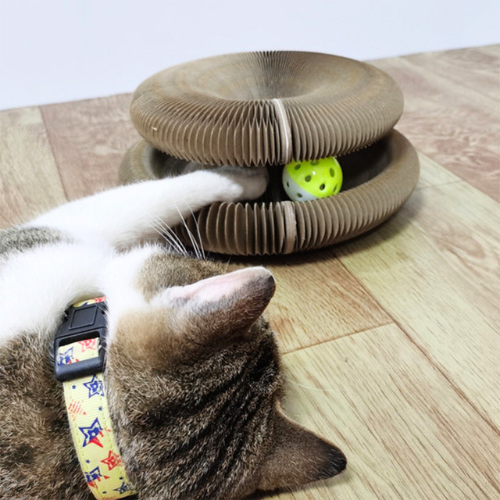 Magisches Spiel- und Kratzspielzeug für Katzen - PurrPlay Sphere